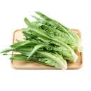 油麦菜约500g