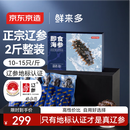 京东京造大连即食海参1kg20-30只独立包装 固形物70%鲜食海参端午节礼盒