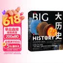 DK大历史 DK BIG大历史 从宇宙大爆炸到我们人类的未来 138亿年的非凡旅程 2023年新版 大卫克里斯蒂安著 中信出版社