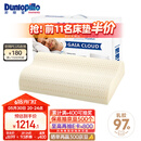 邓禄普（Dunlopillo）盖伊雅舒睡波浪枕 荷兰进口特拉雷Talalay天然乳胶枕物理发泡工艺