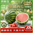京鲜生 无籽麒麟西瓜 净重5-7斤 1粒生鲜水果源头直发包邮