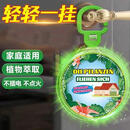 【全新升级】天然植物香薰 家庭户外适用夏日必备其他清洁工具H 10个装【长效 孕婴可用】