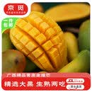 京觅广西青皮金煌芒 净重8-9斤 单果400g+ 新鲜芒果水果源头直发包邮