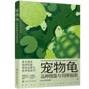 宠物龟品种图鉴与饲养指南