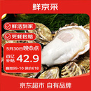 鲜京采  鲜活生蚝5XL 净重5斤 9-12只 鲜活到家 海鲜 源头直发