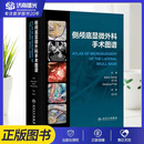 侧颅底显微外科手术图谱 汤文龙 主编 常用侧颅底手术入路解剖与临床实践 侧颅底外科相关各种手术技巧 人民卫生出版社耳鼻喉科学