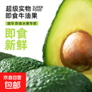 进口秘鲁哈斯牛油果宝宝辅食新鲜孕妇水果鳄梨 【即食免催熟】单果净重：100-130g 4粒独享装