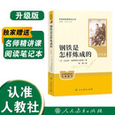 钢铁是怎样炼成的（升级版）人教版名著阅读课程化丛书 七年级下册 与25春新版初中语文教材配套使用（含微课，从教学角度讲解名著；含阅读笔记本，提供测评指导帮助提升整本书阅读能力） 儿童节