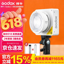 神牛（Godox）摄影灯双色温可调便携夜拍灯人像补光灯户外控制室电影视频摄像灯 ML100Bi L【官方标配】