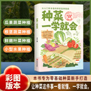 【官方正版】种菜一学就会 图解版 种菜技术书 蔬菜种植技术 阳台种菜一学就会 肥料运用种植 种菜一学就会