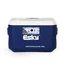 爱斯基（ESKY）山姆代购会员商店超市保温箱冷藏箱大容量收纳箱露营摆摊便携保鲜 新客立减：保温箱39L(省8元) 正品保障 部分地区次日达