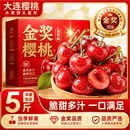 甜盟 车厘子樱桃【JD顺丰-多地次日达】大连新鲜大樱桃水果端午节送礼 5斤(净重) 【蕞划算-全家分享】畅吃礼盒  【巨满足｜好吃升级】黑钻级 单果24-28mm