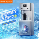 荣事达开水器商用直饮水机大容量电热烧开水机加热净水机RSD-2AE+RO五级RO 8℃冰水|开水+冰水/常温水