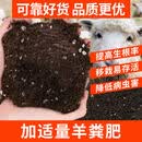 妙普乐营养土养花专用通用型绿植花土种花种菜家用有机土壤种植花泥发酵 【添肥型升级款100斤】+适量发酵羊粪肥