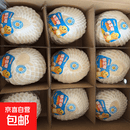 泰国进口香水椰天然椰子椰青大果年货送礼 单果900g+ 泰国进口椰青9粒装送开椰器吸管