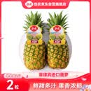 佳农菲律宾进口菠萝2个装 凤梨 单果净重2斤 源头直发 生鲜水果 包邮