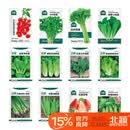北蔬 各种蔬菜种子生菜草莓香菜小香葱黄瓜阳台四季菜籽 12种蔬菜种子