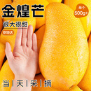 京地达海南金煌芒果 8斤珍稀果王单果500g+青皮生吃甜心芒新鲜水果包邮