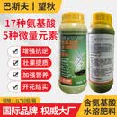 巴斯夫望秋氨基酸水溶肥料果树蔬菜瓜果农用水溶叶面肥料1L*1