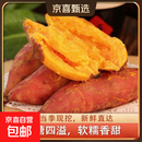 现挖沙地蜜薯红薯新鲜农家糖心番薯烤地瓜软糯批发黄心包邮 沙地蜜薯2斤装中小果 含箱