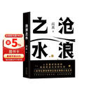阎真：沧浪之水 豆瓣8.5分 入围茅盾文学奖 赠书签 胡军 于和伟主演高分电视剧岁月原著 小说