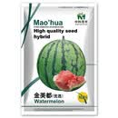 中科茂华蔬菜水果种子金美都西瓜种子8424麒麟瓜高纯浙江美都西瓜種子 金美都100粒/袋【优选】