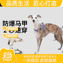 嬉皮狗（）狗狗牵引绳胸背心式防爆冲遛狗绳小型犬泰迪柯基边牧狗链宠物 木槿紫-单胸背 M-建议15kg以内
