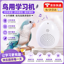 句可鸟用学习机鹦鹉学话机玄凤复读机教鸟学说话八哥学舌讲话录音机 新款学习机（可录音）