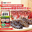 晓芹大连即食海参3斤35-50只  辽刺参 海鲜水产 端午送礼礼品