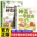 全2册 手把手教你阳台种花种菜+种菜一学就会 正版从零开始种蔬菜零基础学种花种菜栽培实用手册