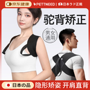 PETTNEED日本开肩矫姿带驼背矫正器成人医用男女士直肩美背肩带隐形神器 男女通用 M号（120-150斤）