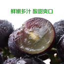 巨峰葡萄500g
