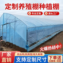 爱悦大棚钢架 温室大棚钢管 农用花卉棚热镀锌大棚骨架椭圆管养殖暖棚 8米宽15米长 含无滴膜 高配版含流滴膜+卷膜器