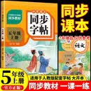小学语文同步字帖五年级上册 适用人教版教材配套使用 小学生练字帖一课一练 规范学生字体每日一练 专项训练书写字帖控笔训练