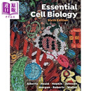 预售 细胞生物学精要 第6版 国际学生版 平装 Essential Cell Biology 6e 英文原版 Bruce Alberts