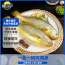 三都港 冷冻黄花鱼700g/2条装 新鲜大黄鱼 深海鱼 生鲜 鱼类 海鲜水产