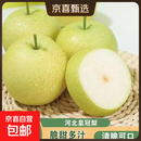 梨乡赵县皇冠梨润肺止咳新鲜水果补水 净重9斤带箱10斤-(单果200g+)