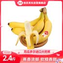 佳农进口大把香蕉净重2.4斤 家庭装 源头直发 生鲜水果 包邮