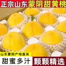 呈鲜果农蒙阴黄桃 正宗山东毛桃 当季桃子水果整箱 送礼推荐 精选A+单果100g+ 净重4.5-5斤