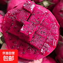 京喜加广西金都一号红心红肉火龙果现摘红肉多规格可选生鲜时令水果 6粒装 单果120g+