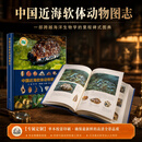 [按需印刷]中国近海软体动物图志 科学出版社