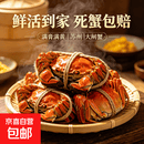 鲜活苏州六月黄大闸蟹全公全母特大螃蟹满膏满黄净重无绳礼盒送礼 【礼盒全公】4.0-4.3两8只装