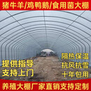 养殖大棚全套配件养牛羊猪棚种植棚半坡连栋棚温室大棚钢管骨架 8米宽30米长 顶配养殖棚三层保温+冬暖夏凉带
