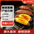趣尝鲜云南榴莲蜜薯 净重4.5斤 单果100g-400g 1号会员店源头直发
