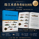[按需印刷]珠江水系鱼类原色图集(广东段)/李新辉，陈方灿，梁沛文 科学出版社