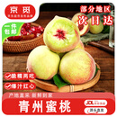 京觅正宗山东青州蜜桃 净重5斤大果 单果120g+ 生鲜水果源头直发包邮
