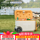 冰大师 ICEMASTER车载保温箱食品保热户外露营摆摊大容量冷藏箱带拉杆海钓箱38L