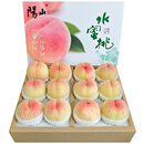 阳山水蜜桃 无锡阳山水蜜桃 新鲜水果桃子礼盒装 源头直发端午节送礼 礼盒装单果3-4两12个净重3.6斤+