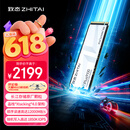 致态（ZhiTai）长江存储 2TB SSD固态硬盘 NVMe M.2接口 TiPlus9100 系列 (PCIe 5.0 产品)