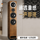 Citozz德国品牌T605落地音箱无源HiFi发烧级三分频高端家用高保真落地式音响 T605双7英寸碳纤维音箱